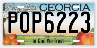 GA license plate POP6223