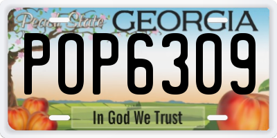 GA license plate POP6309