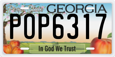 GA license plate POP6317