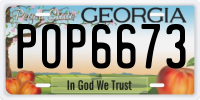GA license plate POP6673
