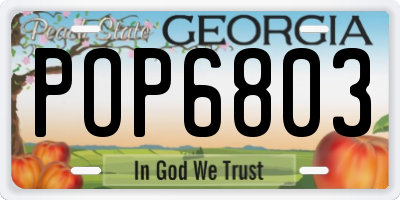 GA license plate POP6803