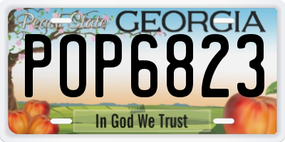 GA license plate POP6823