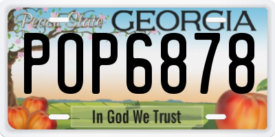 GA license plate POP6878
