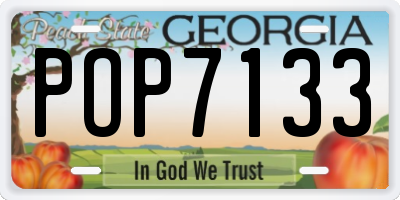 GA license plate POP7133