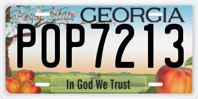 GA license plate POP7213