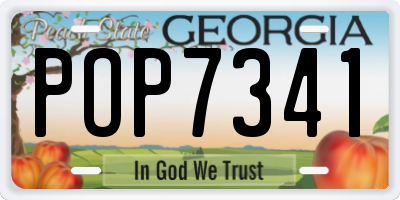 GA license plate POP7341