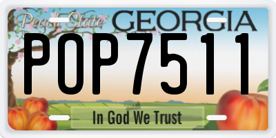 GA license plate POP7511
