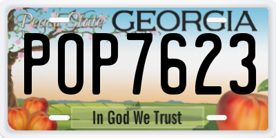GA license plate POP7623