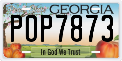 GA license plate POP7873