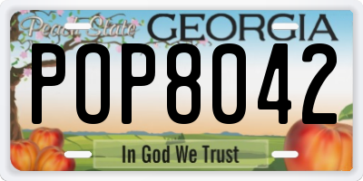 GA license plate POP8042