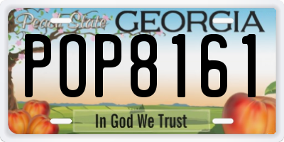 GA license plate POP8161