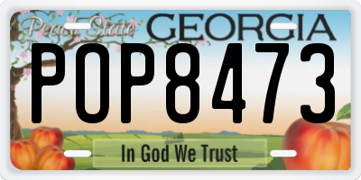 GA license plate POP8473