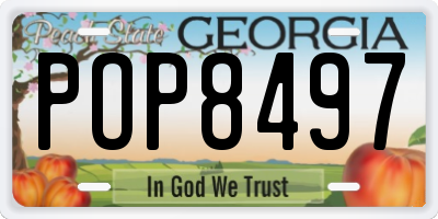 GA license plate POP8497