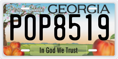 GA license plate POP8519