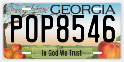 GA license plate POP8546