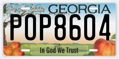 GA license plate POP8604