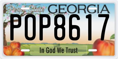 GA license plate POP8617