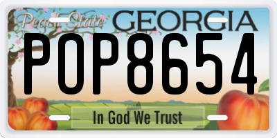 GA license plate POP8654