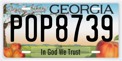GA license plate POP8739