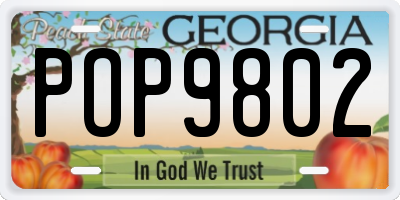 GA license plate POP9802