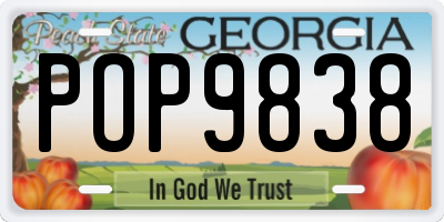 GA license plate POP9838