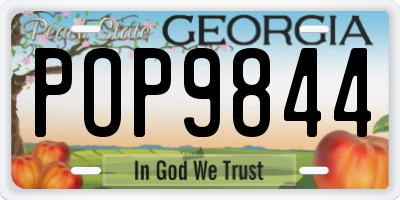 GA license plate POP9844