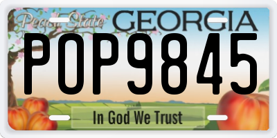 GA license plate POP9845