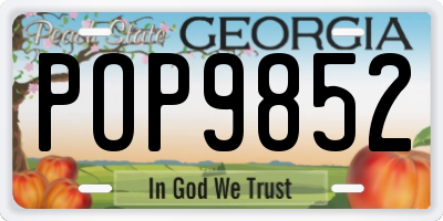 GA license plate POP9852