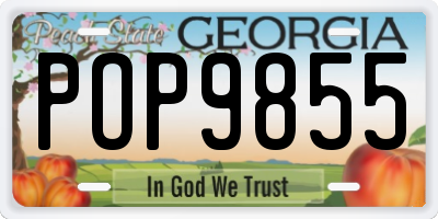 GA license plate POP9855