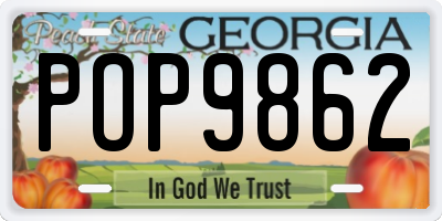 GA license plate POP9862