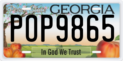 GA license plate POP9865