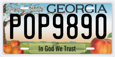 GA license plate POP9890