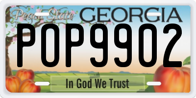 GA license plate POP9902