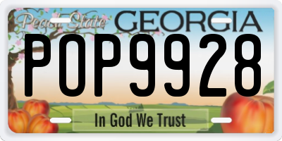 GA license plate POP9928