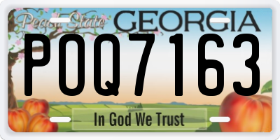 GA license plate POQ7163