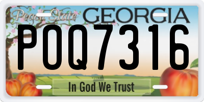 GA license plate POQ7316