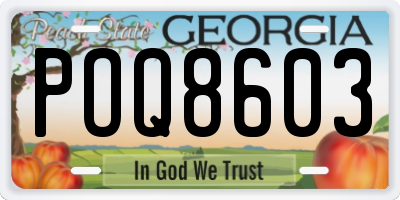 GA license plate POQ8603