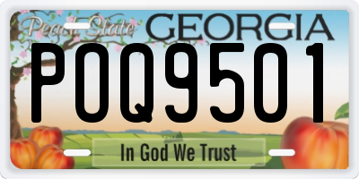 GA license plate POQ9501