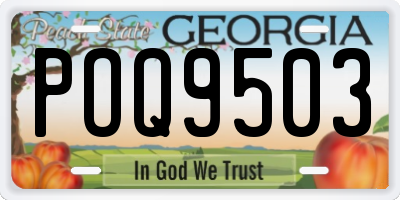 GA license plate POQ9503