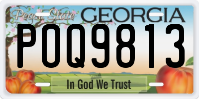 GA license plate POQ9813