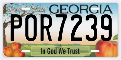 GA license plate POR7239