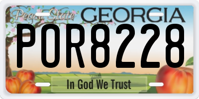 GA license plate POR8228