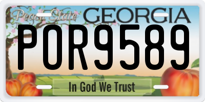 GA license plate POR9589