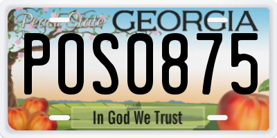 GA license plate POS0875