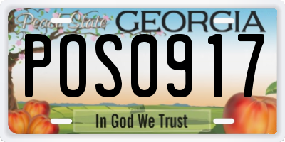 GA license plate POS0917