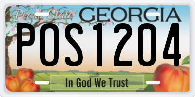 GA license plate POS1204