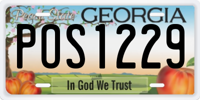 GA license plate POS1229