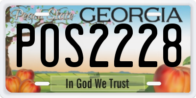 GA license plate POS2228