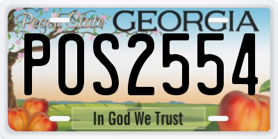 GA license plate POS2554