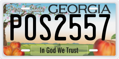 GA license plate POS2557
